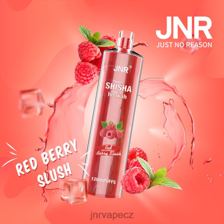 JNR Vape Flavours - jnr shisha břečka červených bobulí 8084R168