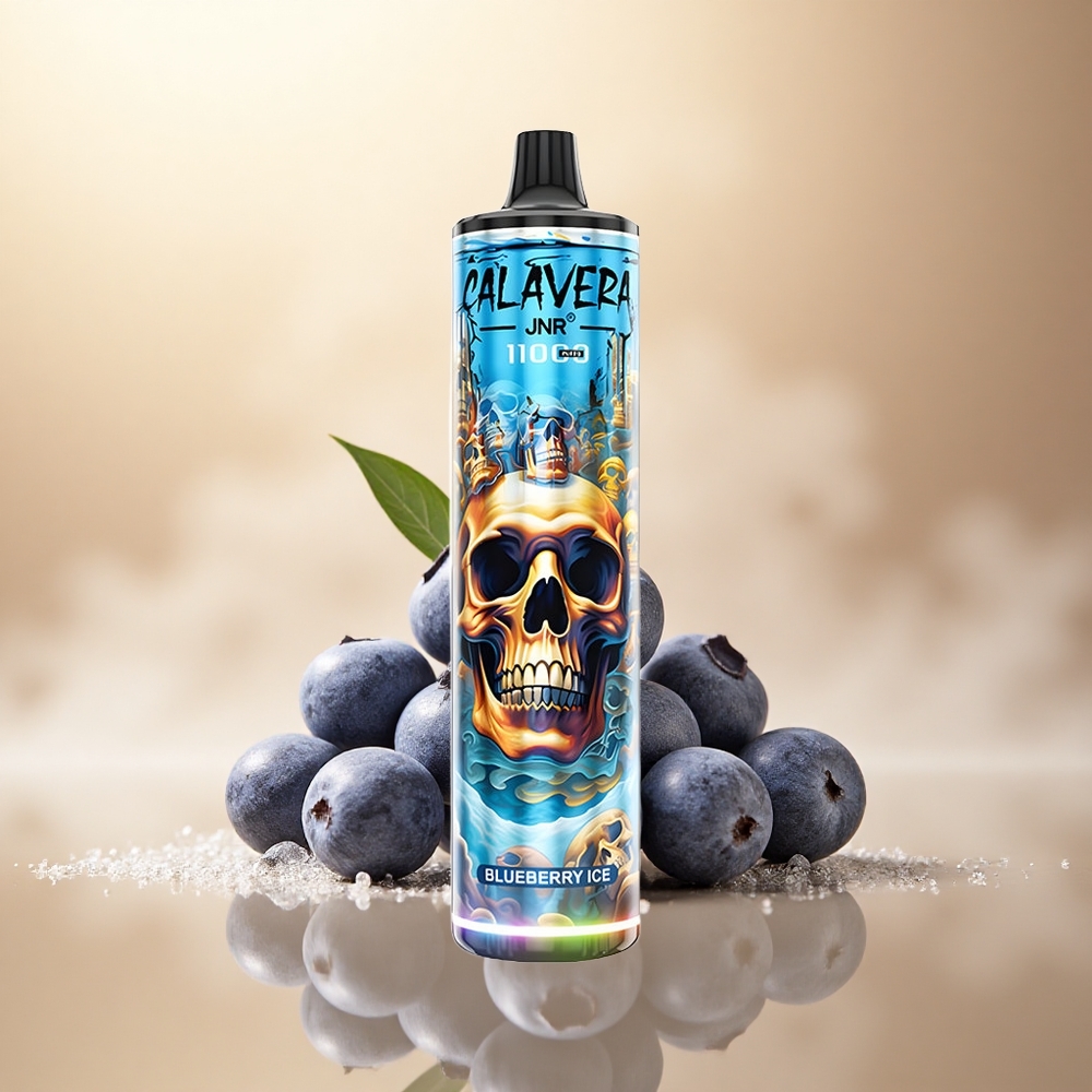 JNR Calavera 11000 Borůvkový Led s 21ml a 5% nikotinu