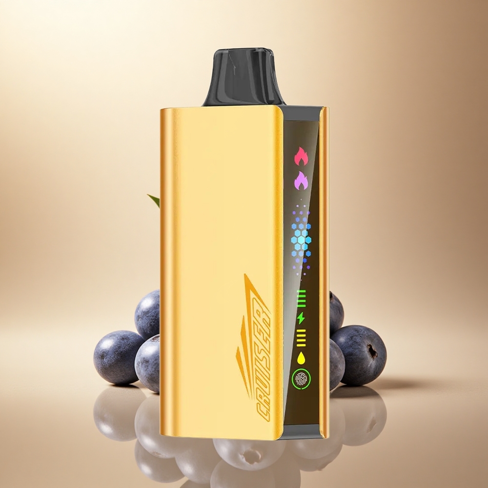 JNR Cruiser 12000 Borůvkový Výbuch 50mg Nikotinu 3500mAh