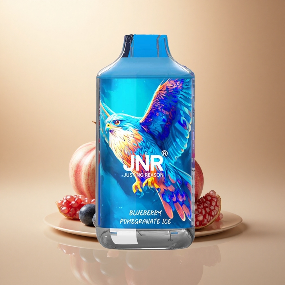 JNR Falcon 16000 Borůvka Granátový Led s 850 mAh a 22ml