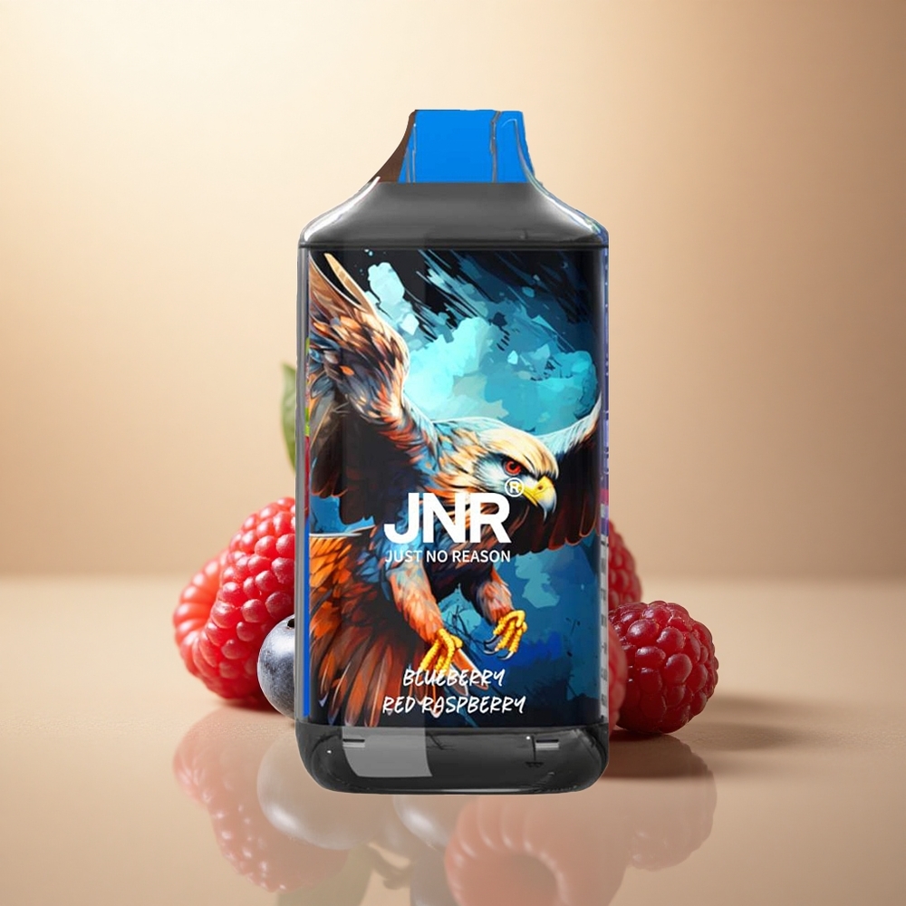 JNR Falcon 16000 Borovice Malina 850mAh 2% Nikotin