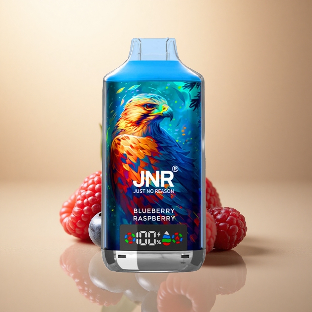 JNR Falcon X 18000 Borůvka Malina Dual Mesh 750mAh 24ml 5% nicotine