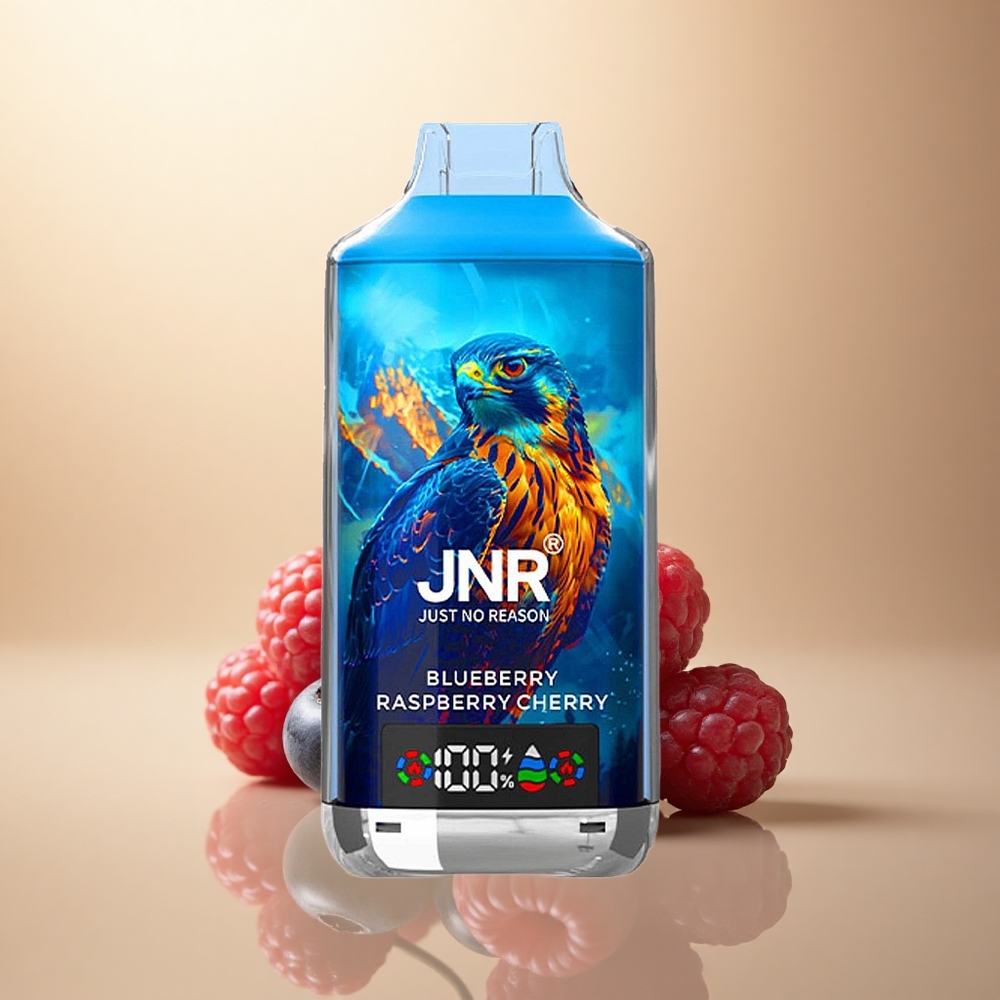 JNR Falcon X 18000 Borůvka Malina Višeň 750mAh Dual Mesh