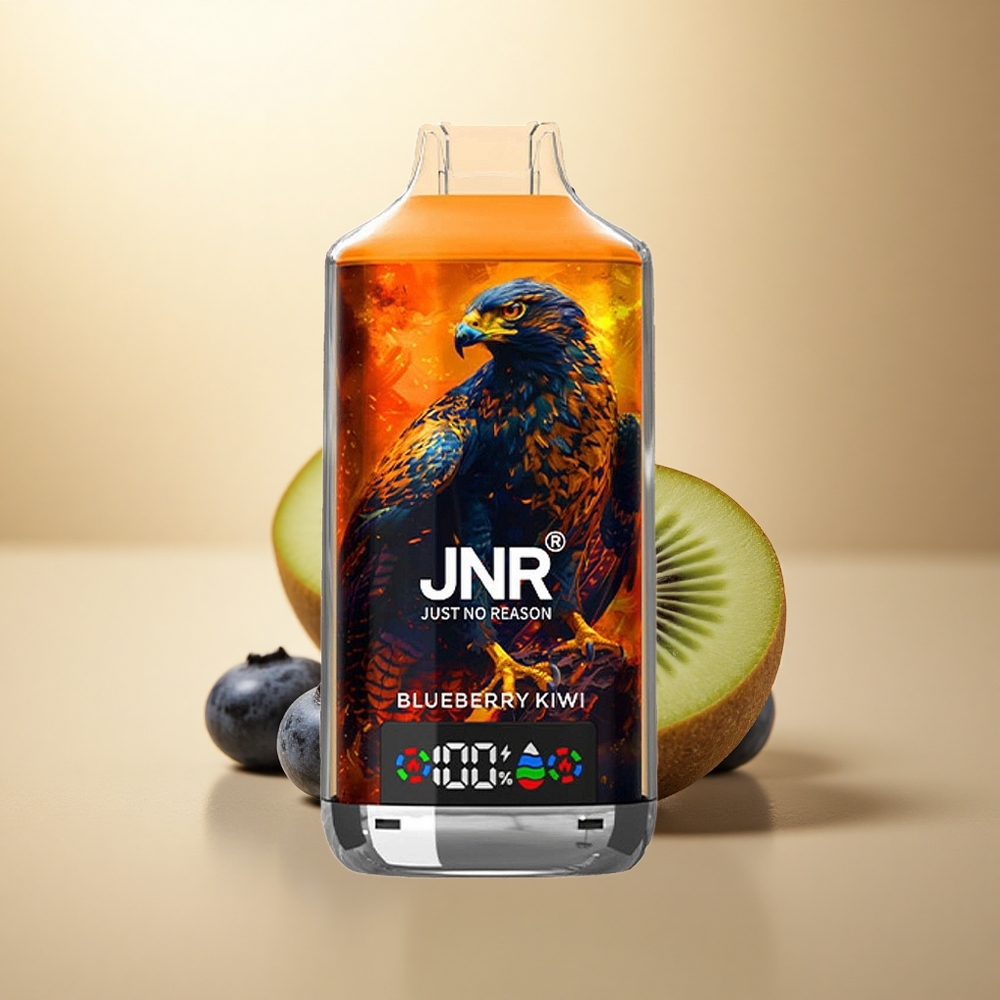 JNR Falcon X 18000 Borovice Kiwi 750mAh 24ml Dual Mesh Coil 5% Nicotine