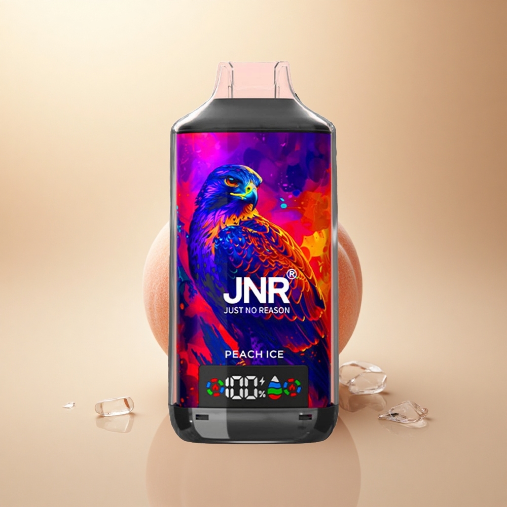 JNR Falcon X 18000 Broskevový Led Dual Mesh 24ml 750mAh