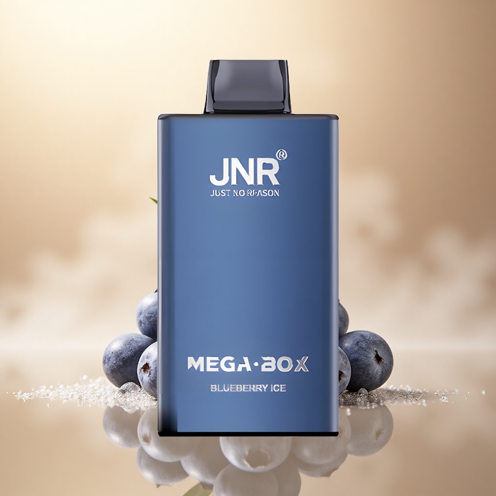 JNR Mega Box 25000 Borůvkový Led 30ml 850mAh 2% Nikotin
