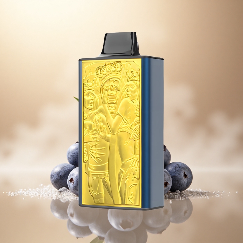 JNR Mega Box 25000 Borůvkový Led 30ml 850mAh 2% Nikotin