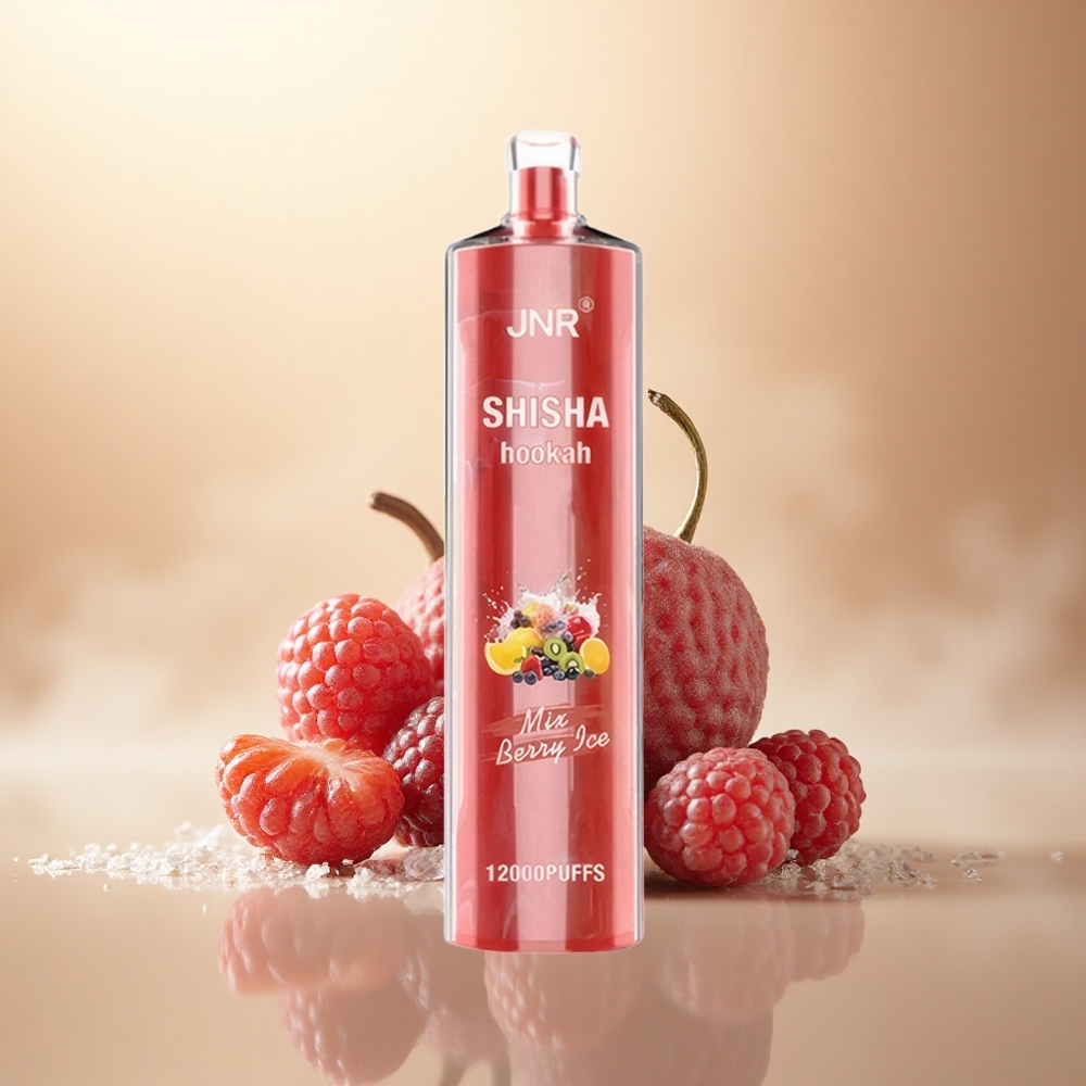 JNR Shisha Hookah 12000 Borůvkový Led s 24ml a 0,6 Ohm