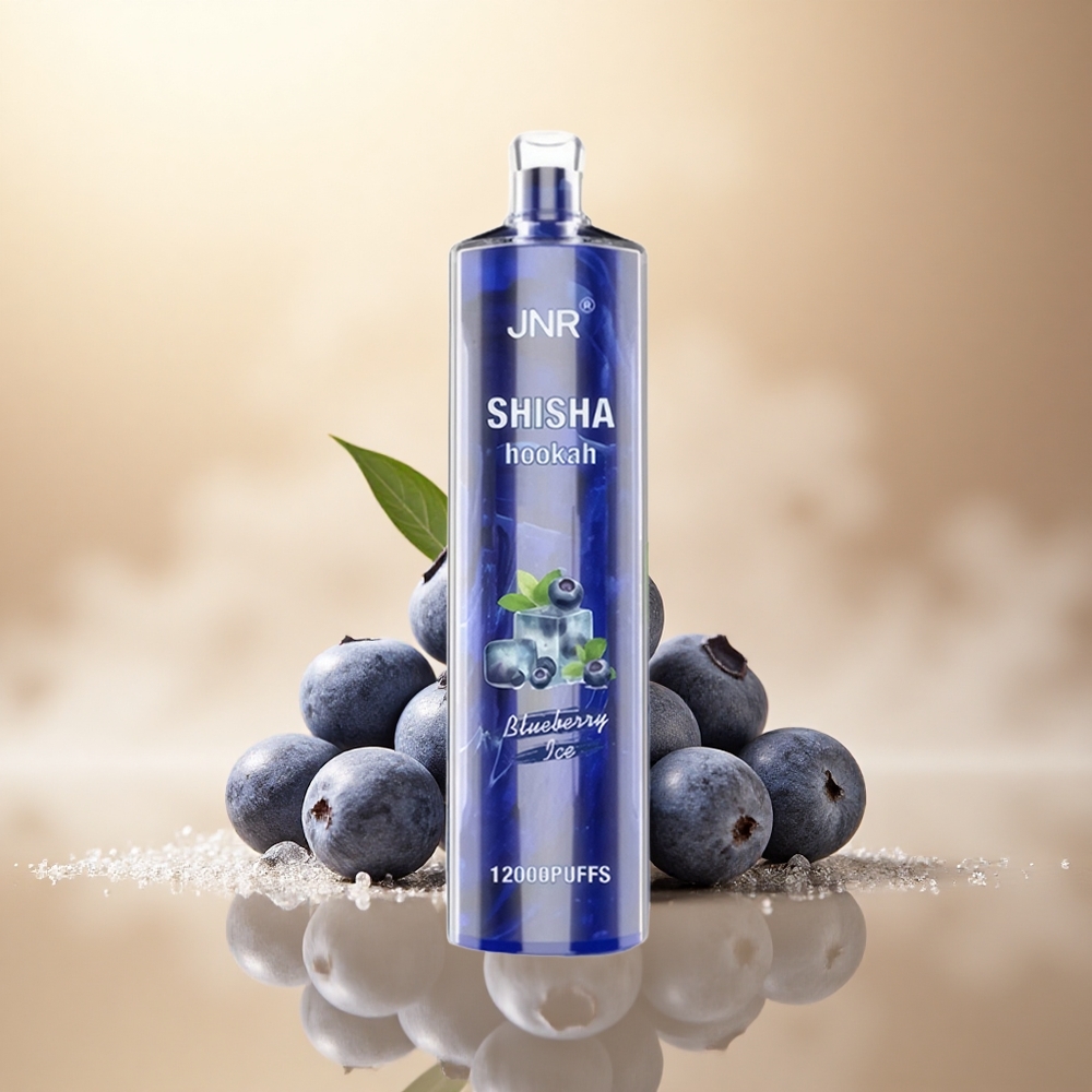 JNR Shisha Hookah 12000 Borůvkový Led s 24ml a 2% nikotinu