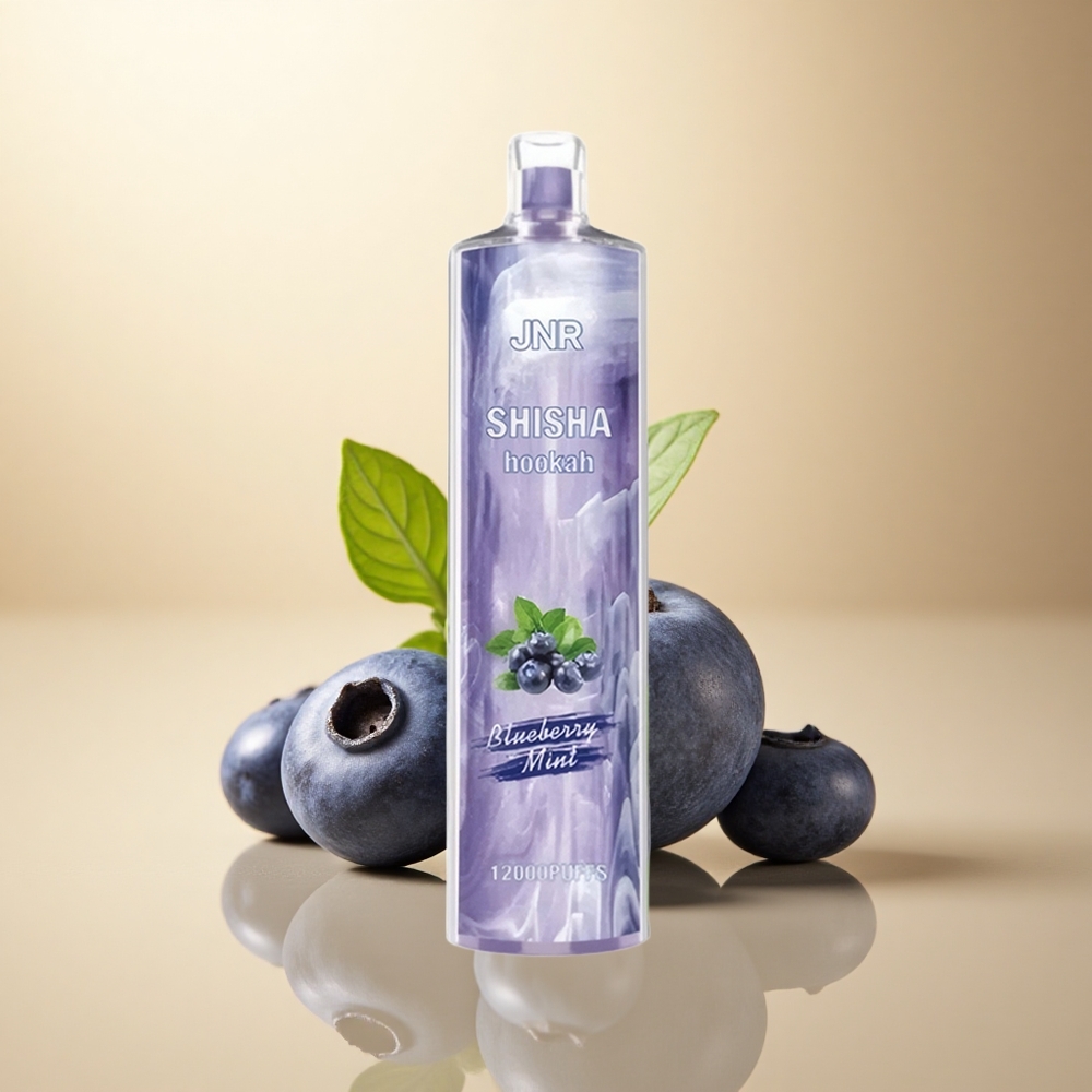 JNR Shisha Hookah 12000 Borovnicová Máta s 24ml a 0% nikotinu