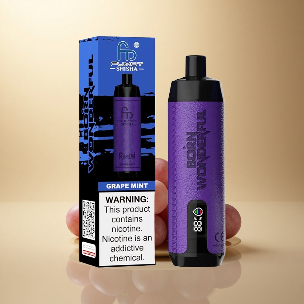 RandM Fumot Shisha 10000 Puffs Hroznová Máta s 0,5% nikotinu a 850 mAh baterií